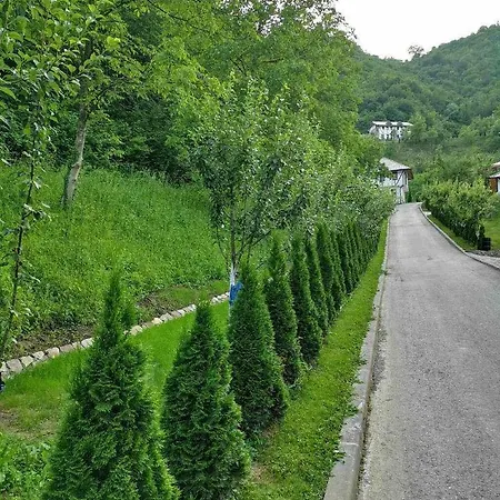 Salem * Bihać